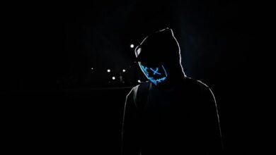 stylish digital identity creation