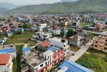 identifier overview summary report