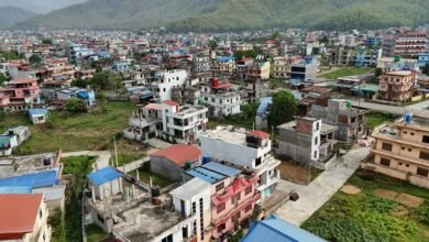 identifier overview summary report