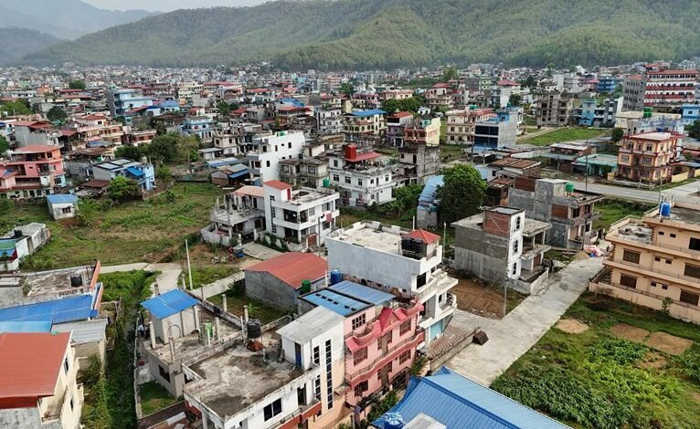 identifier overview summary report