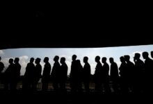 profile metrics analysis insights