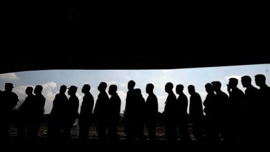 profile metrics analysis insights