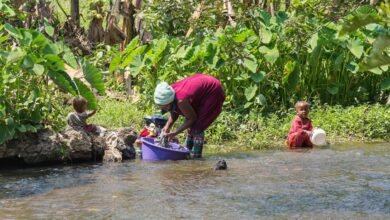 summary of interactions detailed